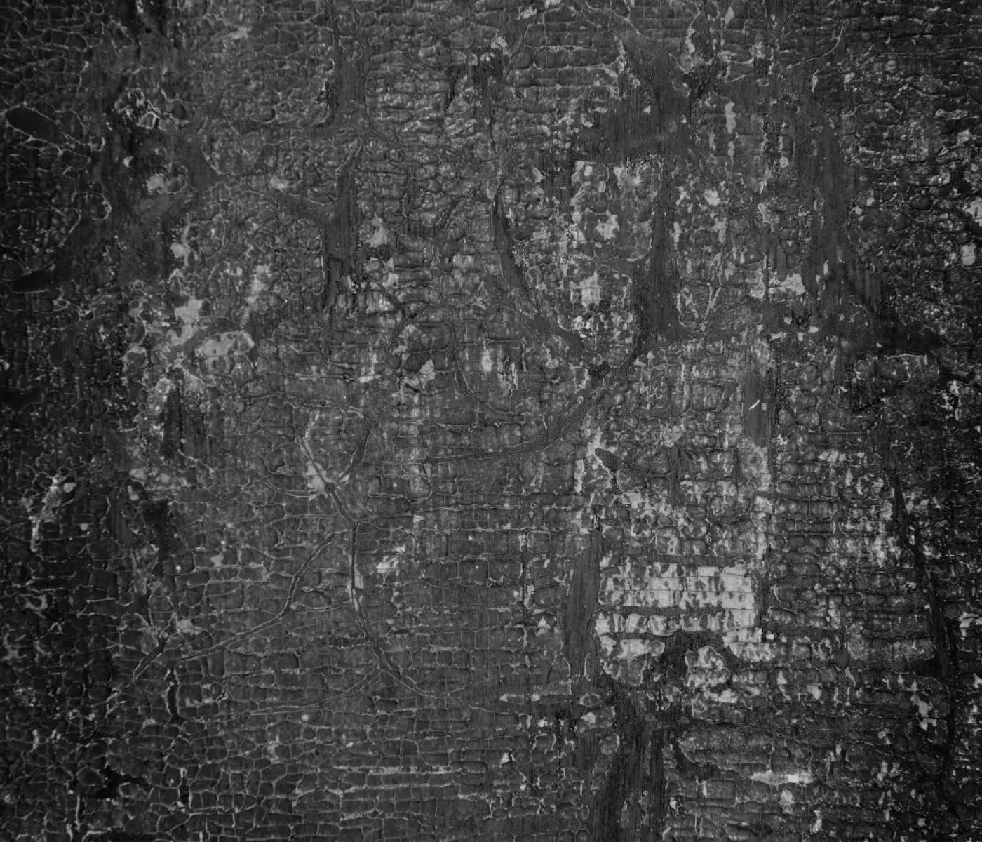 Antique Onyx 12X10 Ultracloth ( 144 X 120 Inch ) Backdrop