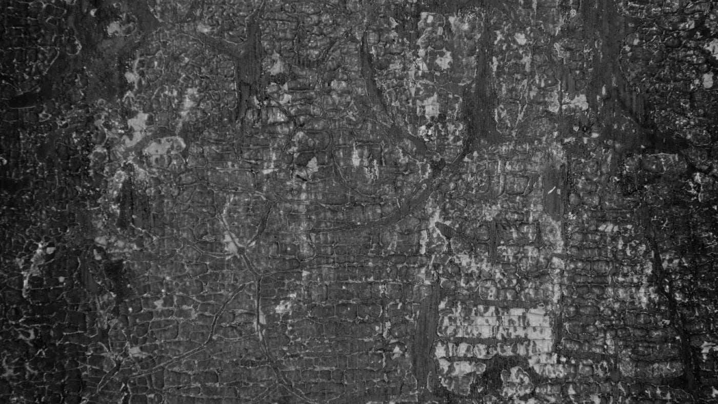 Antique Onyx 14X8 Ultracloth ( 168 X 96 Inch ) Backdrop