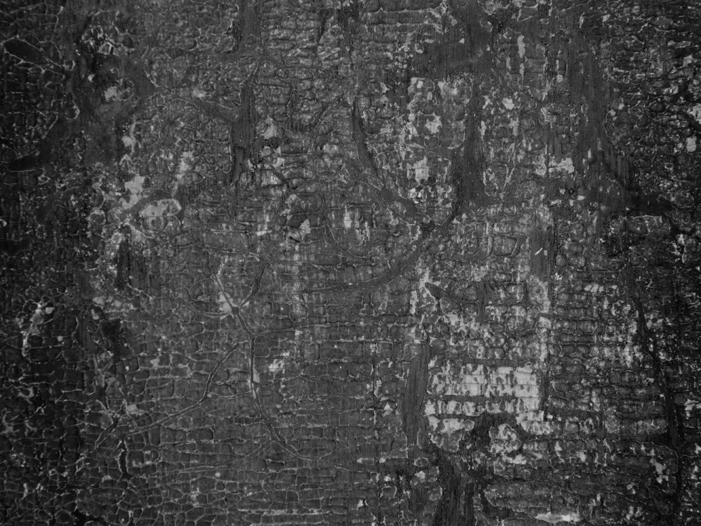 Antique Onyx 68X5 Fleece ( 80 X 60 Inch ) Backdrop