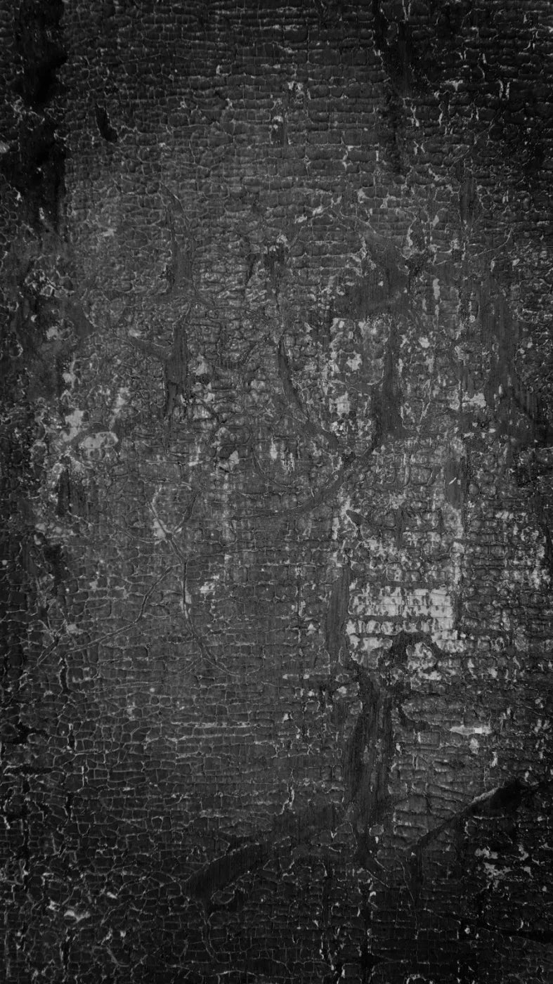 Antique Onyx 8X14 Ultracloth ( 96 X 168 Inch ) Backdrop