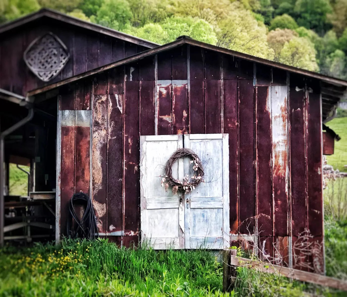 Appalachia 12X10 Ultracloth ( 144 X 120 Inch ) Backdrop