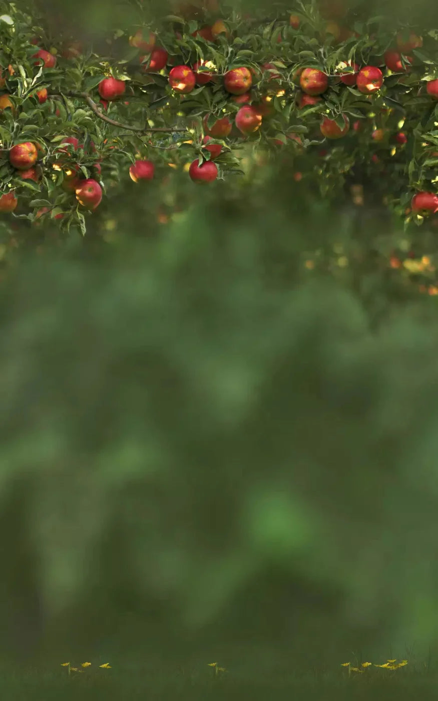 Apple Tree 9X14 Ultracloth ( 108 X 168 Inch ) Backdrop