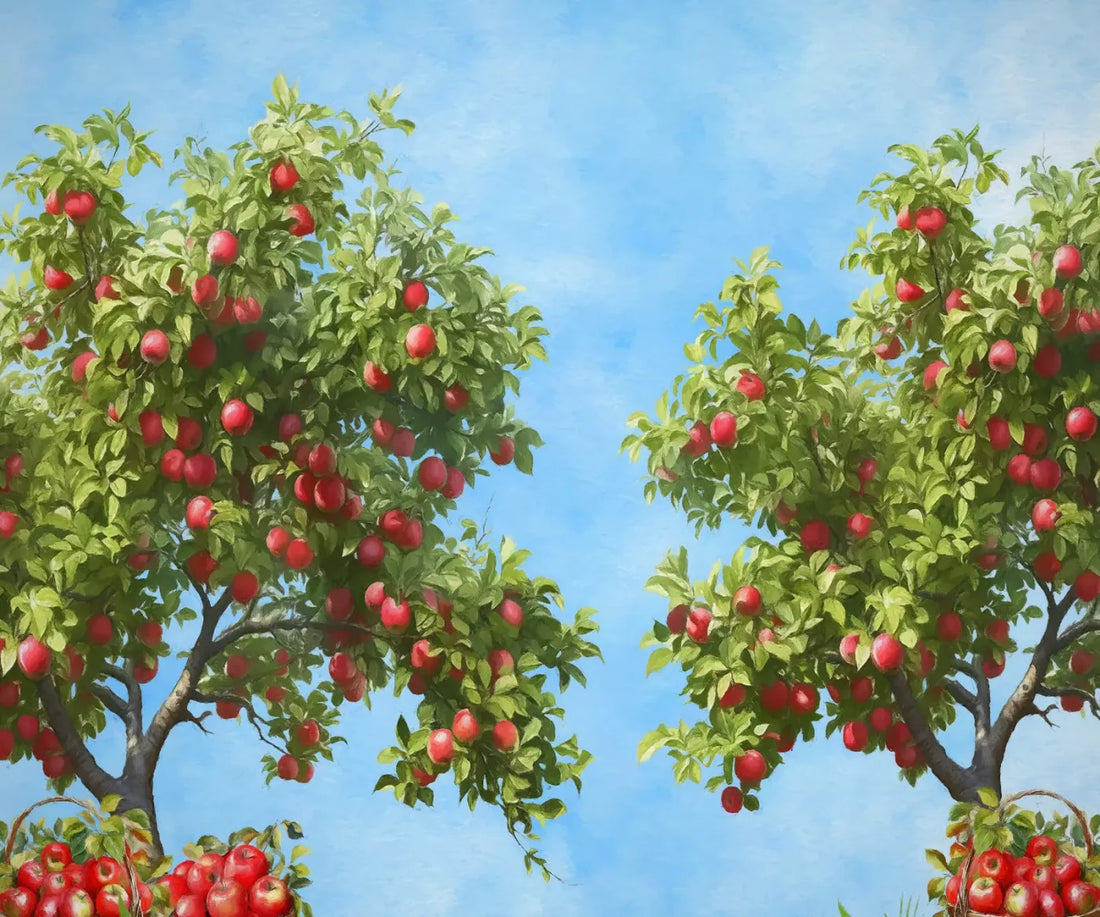 Apple Trees At Grandmas 5X42 Fleece ( 60 X 50 Inch ) Backdrop