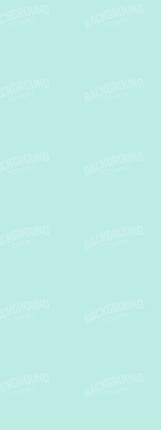 Arctic 8X20 Ultracloth ( 96 X 240 Inch ) Backdrop