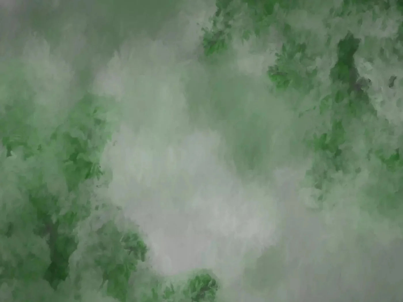 Aria Moss 68X5 Fleece ( 80 X 60 Inch ) Backdrop