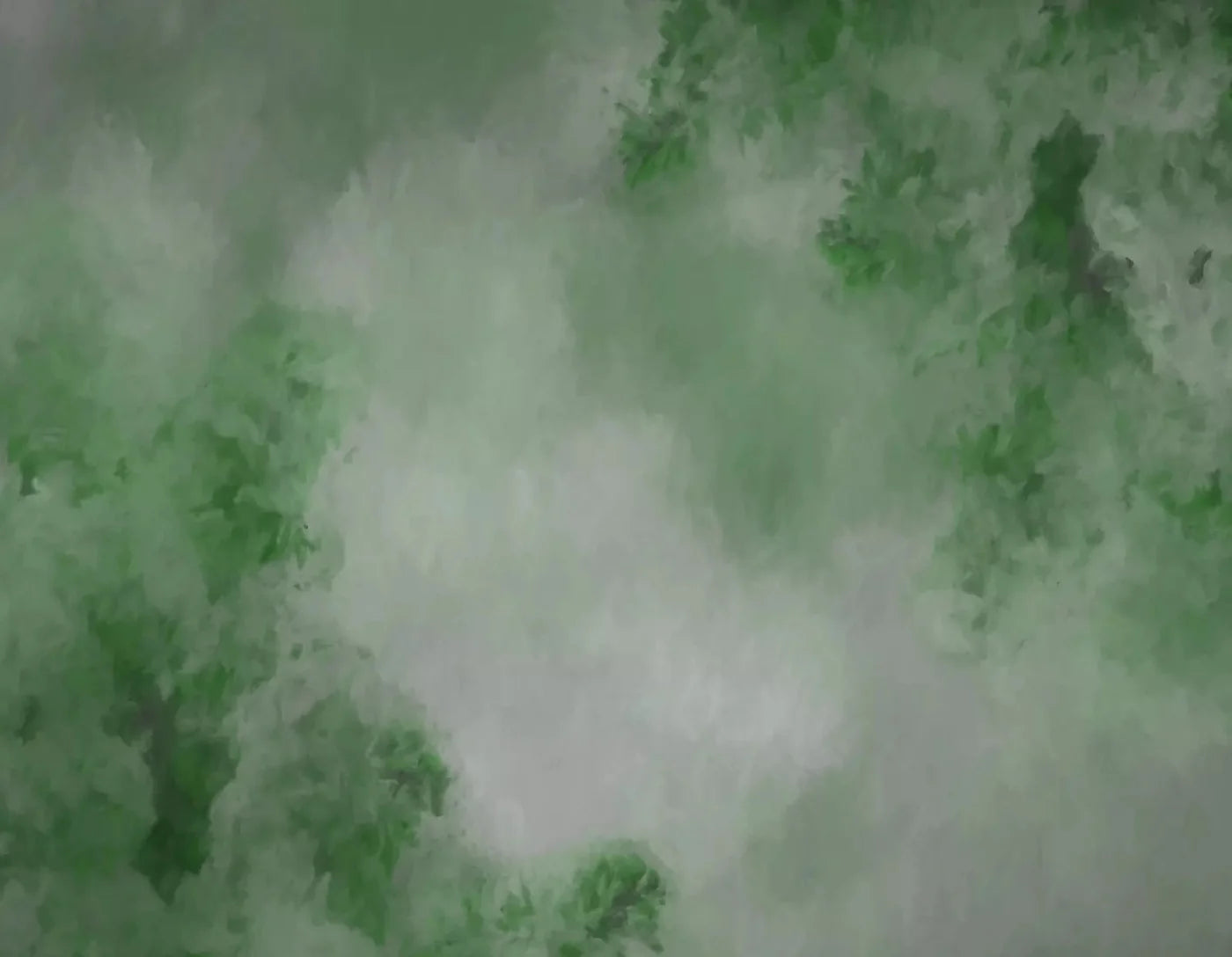 Aria Moss 8X6 Fleece ( 96 X 72 Inch ) Backdrop