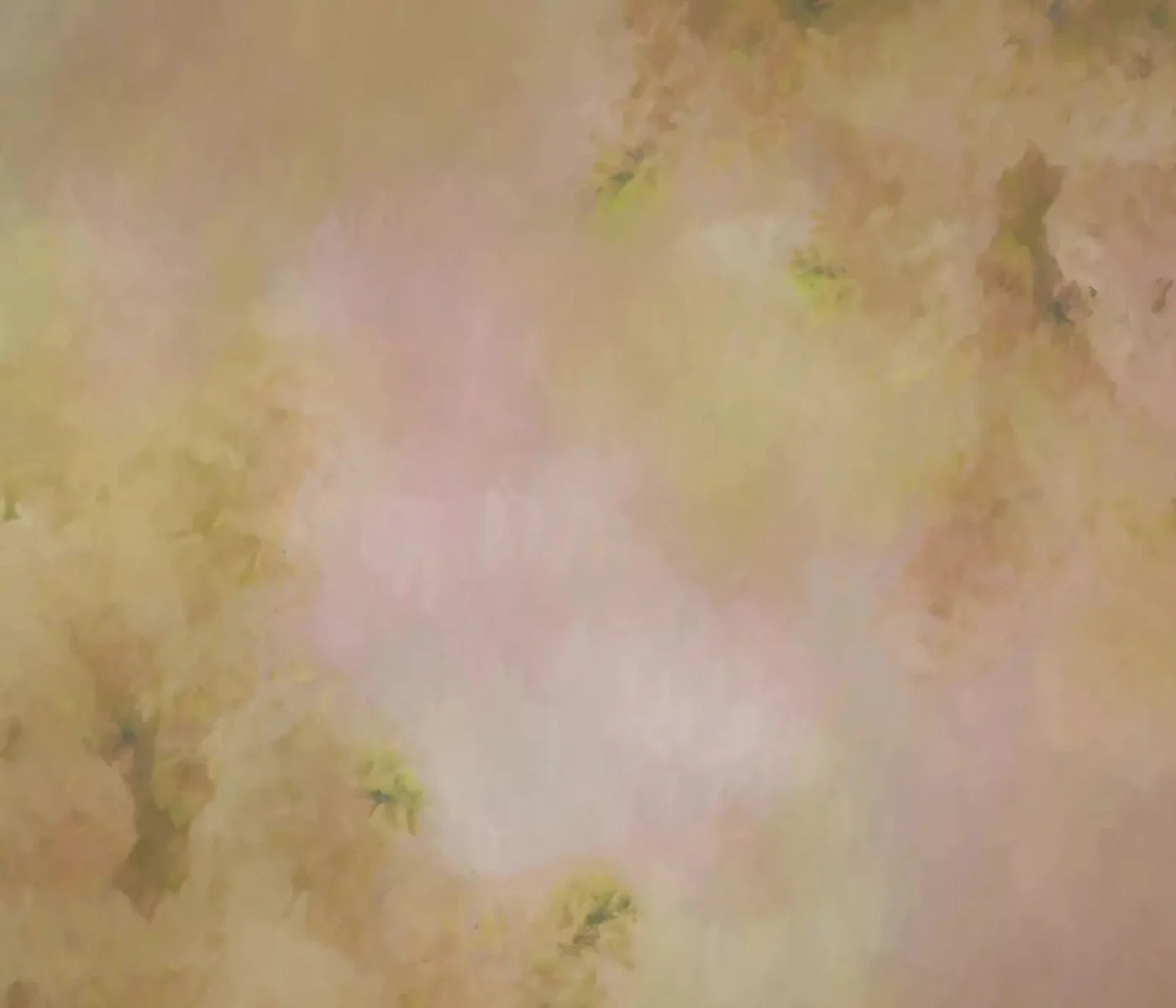 Aria Peach 12X10 Ultracloth ( 144 X 120 Inch ) Backdrop