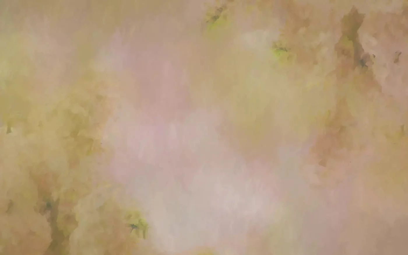Aria Peach 14X9 Ultracloth ( 168 X 108 Inch ) Backdrop