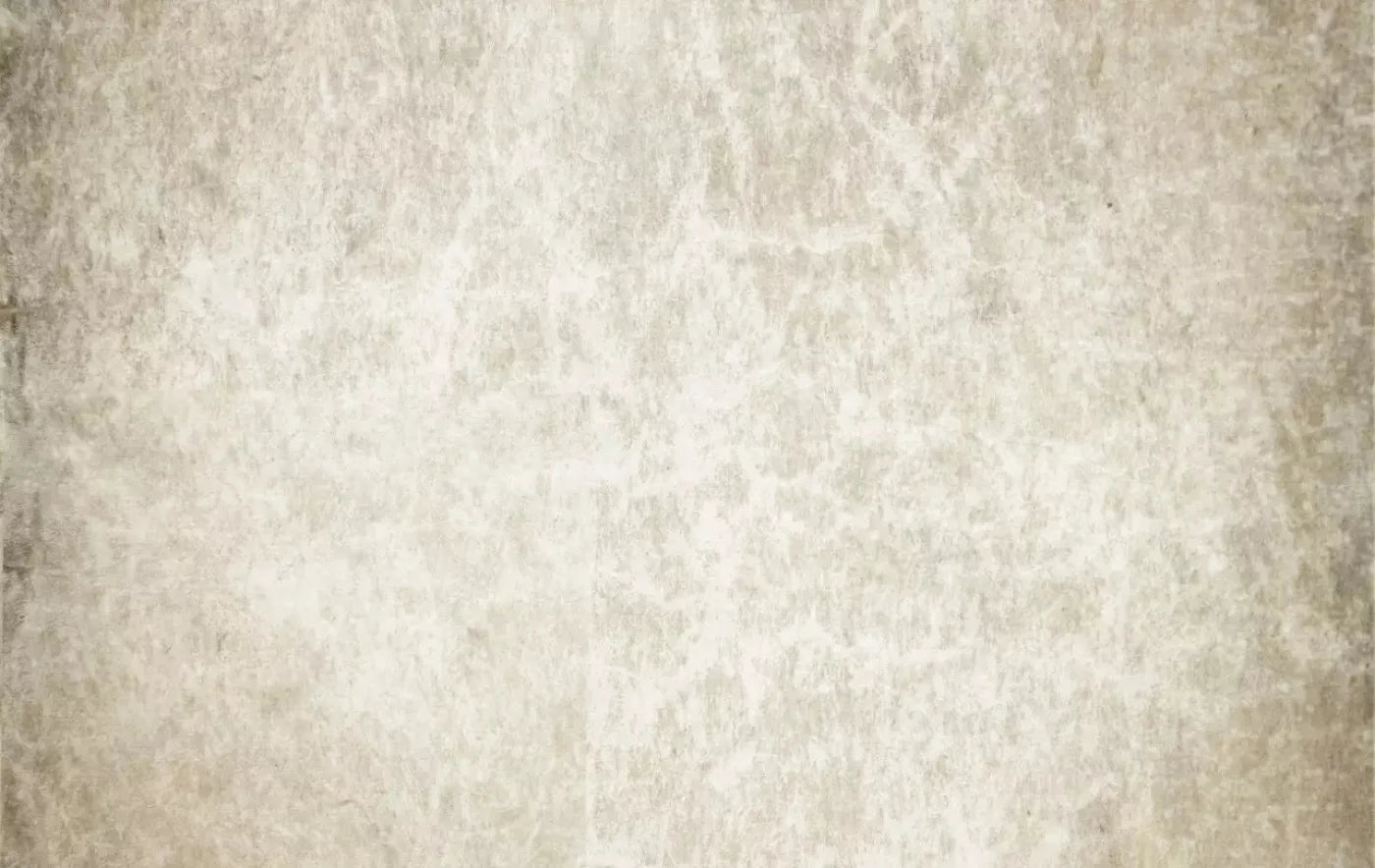 Artisian 16X10 Ultracloth ( 192 X 120 Inch ) Backdrop