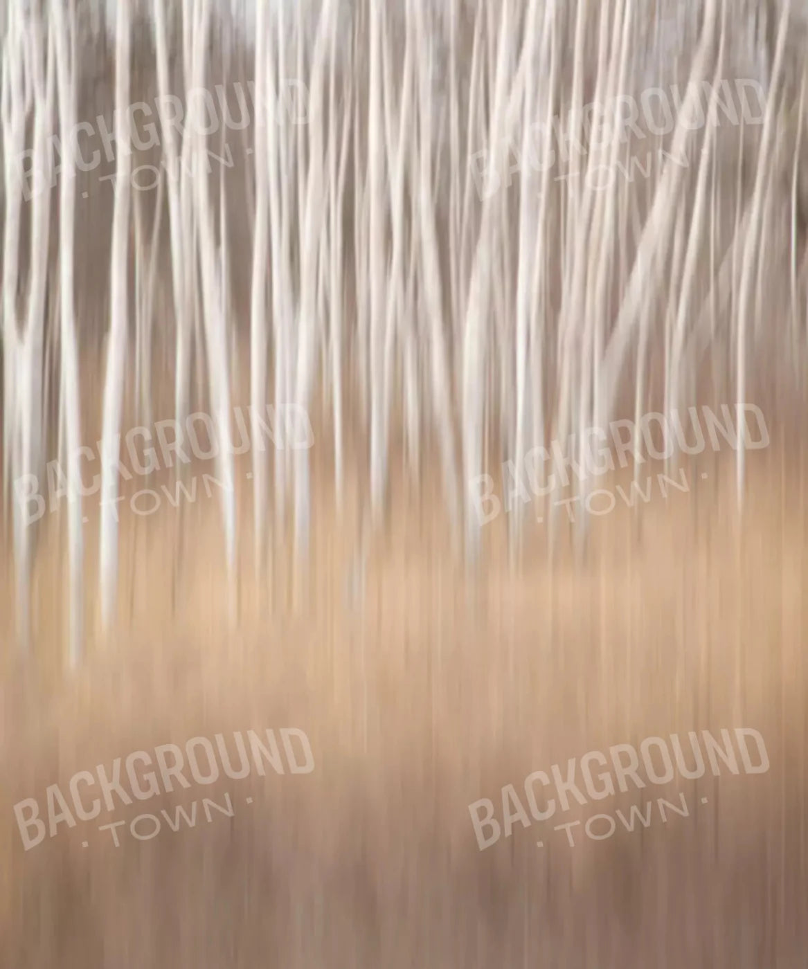 Aspen Birch trees Backdrop for Photography