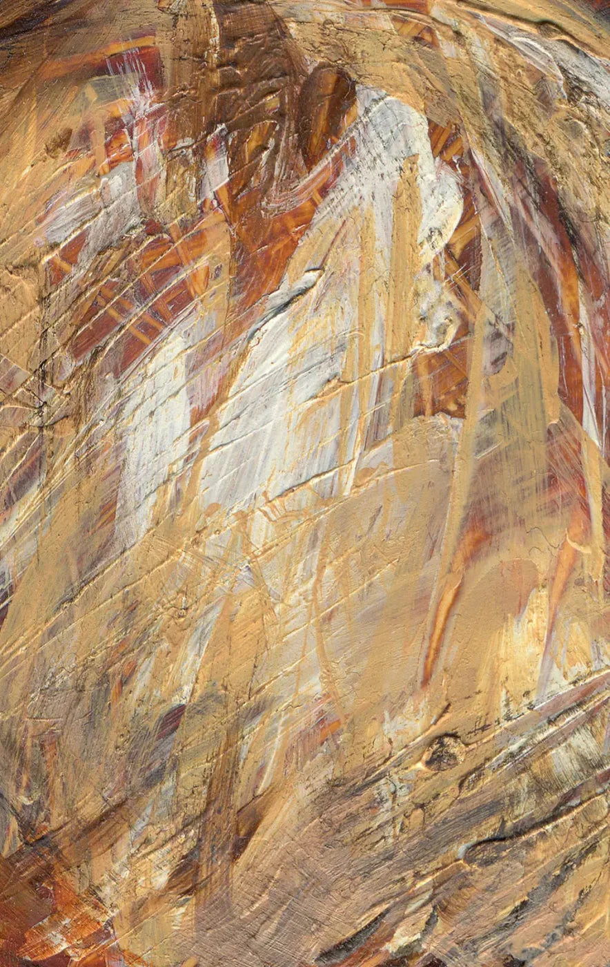 Attitude 10X16 Ultracloth ( 120 X 192 Inch ) Backdrop