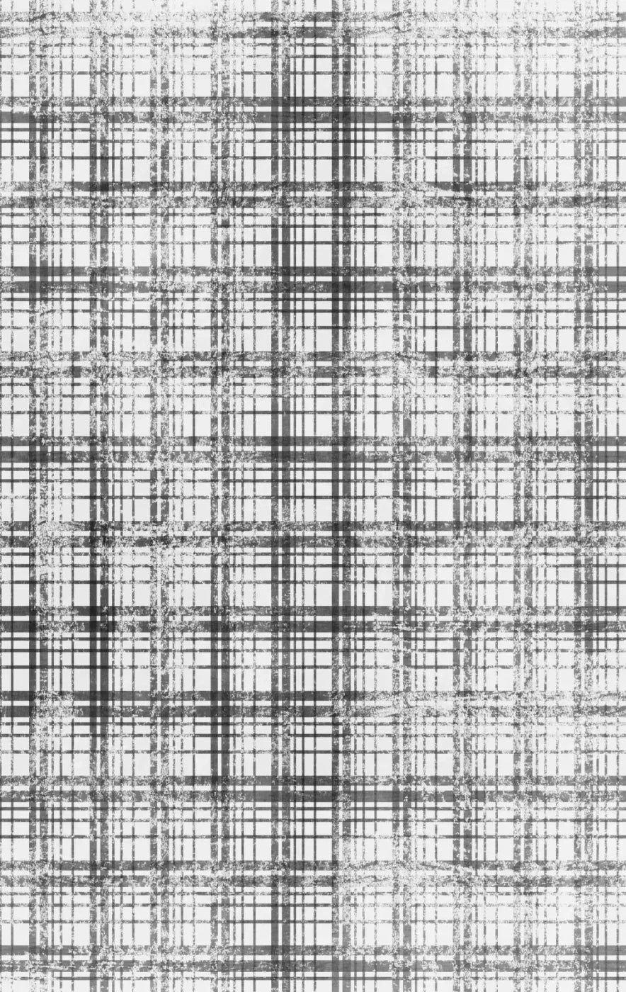 Augustus 10X16 Ultracloth ( 120 X 192 Inch ) Backdrop