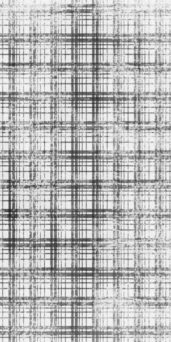 Augustus 10X20 Ultracloth ( 120 X 240 Inch ) Backdrop