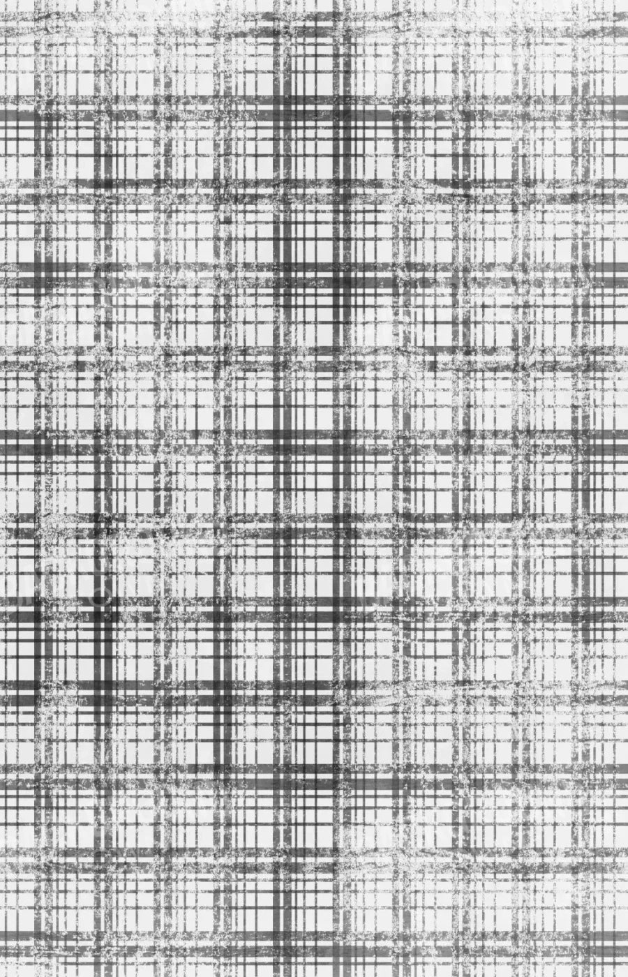 Augustus 8X12 Ultracloth ( 96 X 144 Inch ) Backdrop