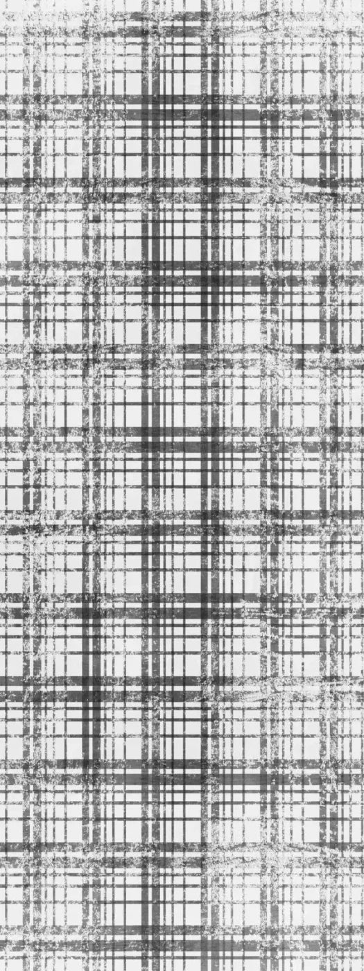 Augustus 8X20 Ultracloth ( 96 X 240 Inch ) Backdrop
