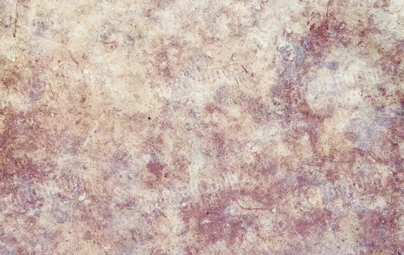 Austin 16X10 Ultracloth ( 192 X 120 Inch ) Backdrop