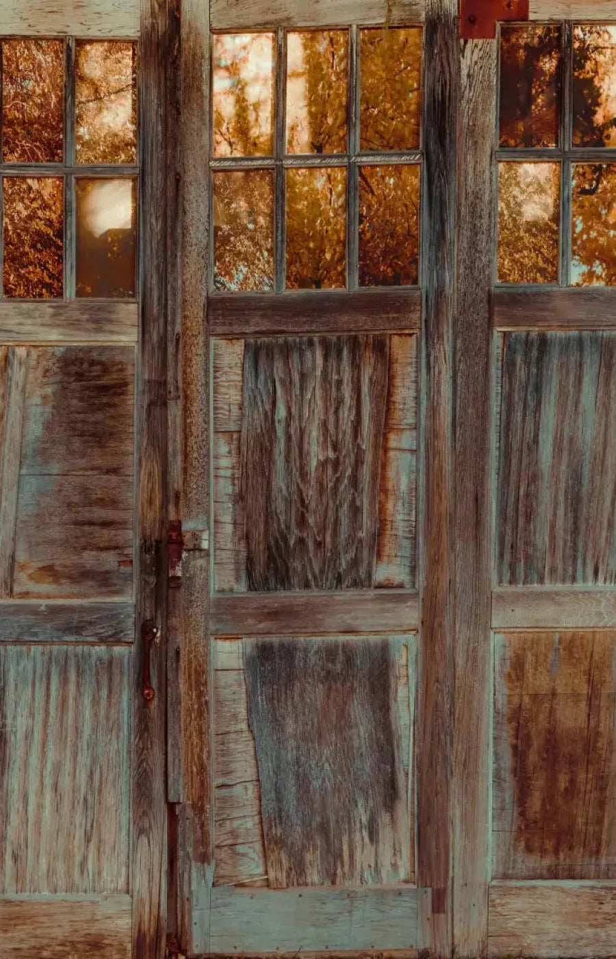 Autumn Doors 8X12 Ultracloth ( 96 X 144 Inch ) Backdrop