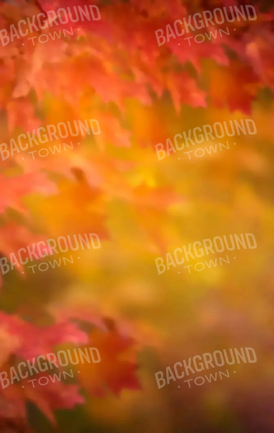 Autumn Dreams 10X16 Ultracloth ( 120 X 192 Inch ) Backdrop