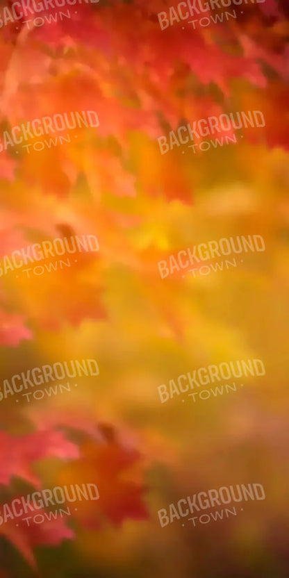 Autumn Dreams 10X20 Ultracloth ( 120 X 240 Inch ) Backdrop