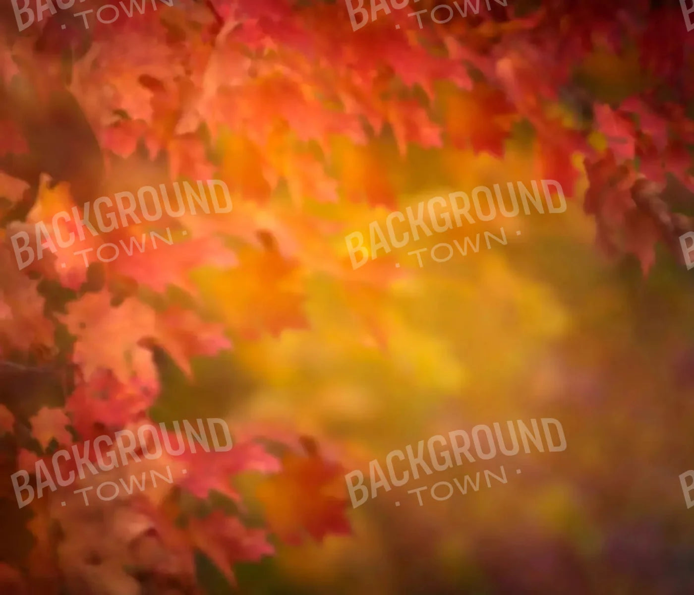 Autumn Dreams 12X10 Ultracloth ( 144 X 120 Inch ) Backdrop