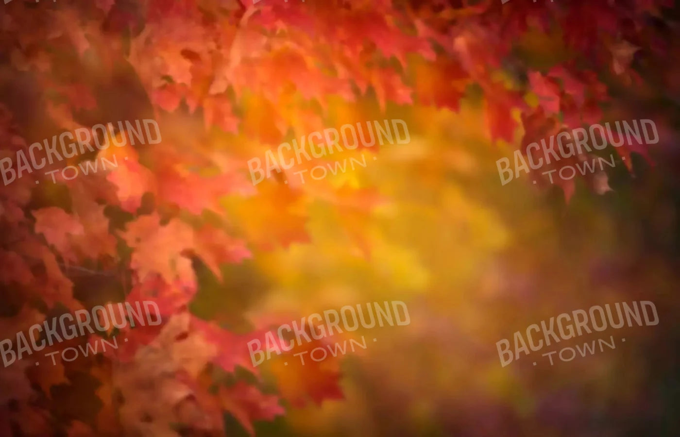 Autumn Dreams 12X8 Ultracloth ( 144 X 96 Inch ) Backdrop