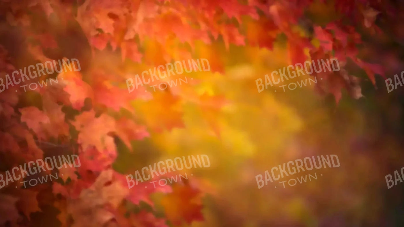 Autumn Dreams 14X8 Ultracloth ( 168 X 96 Inch ) Backdrop