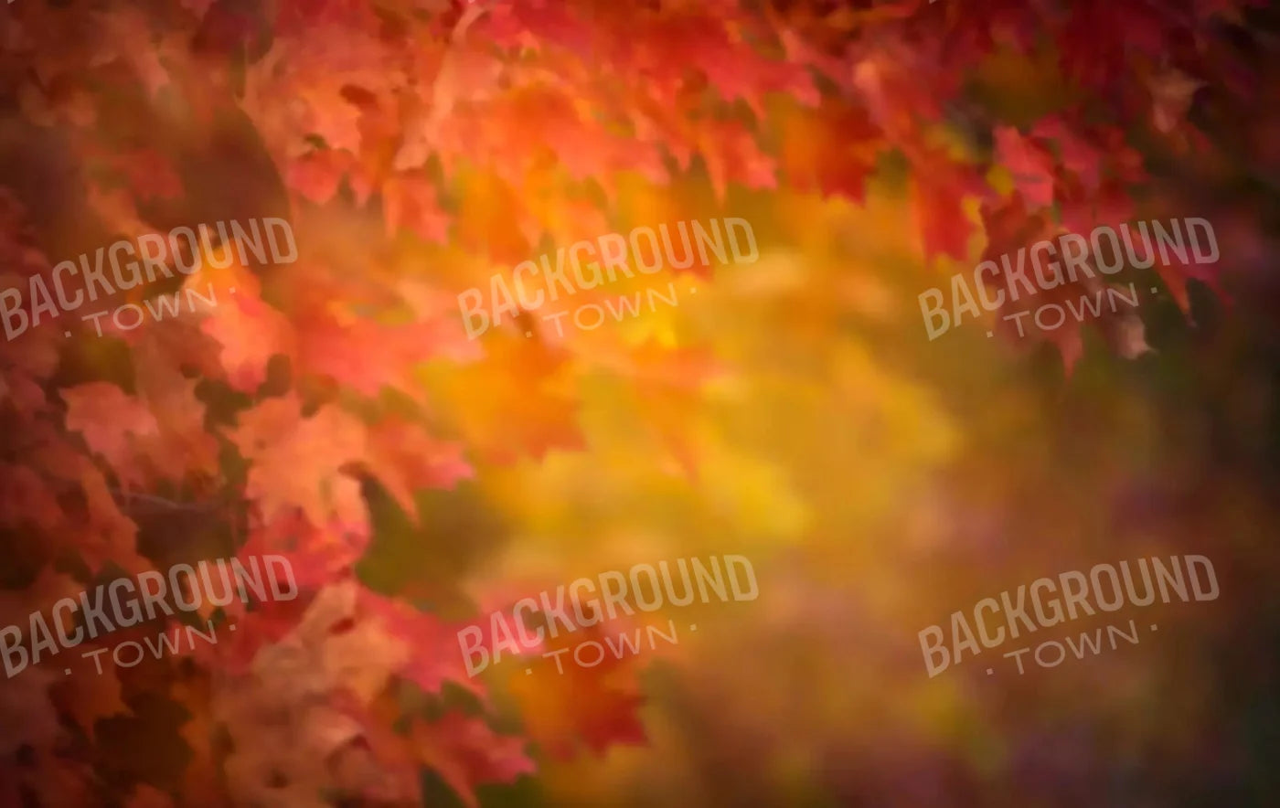 Autumn Dreams 16X10 Ultracloth ( 192 X 120 Inch ) Backdrop