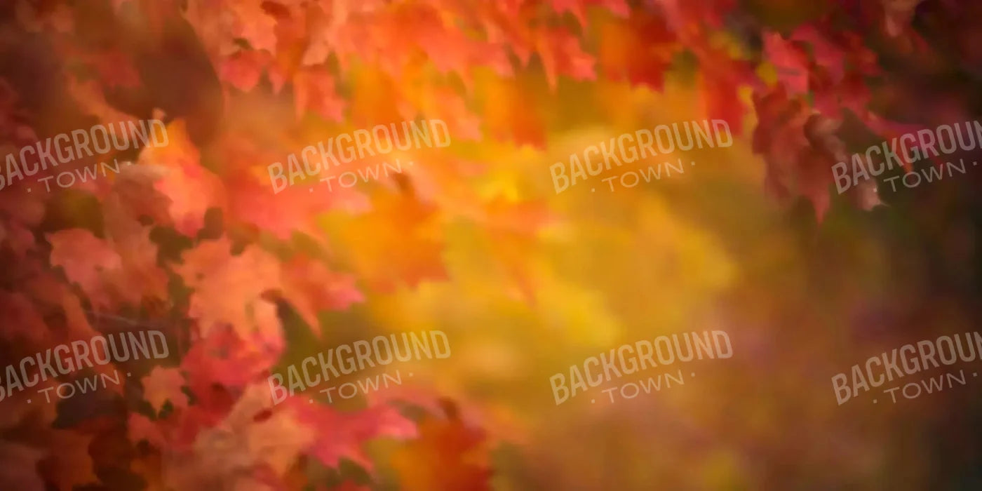 Autumn Dreams 20X10 Ultracloth ( 240 X 120 Inch ) Backdrop