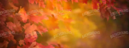 Autumn Dreams 20X8 Ultracloth ( 240 X 96 Inch ) Backdrop