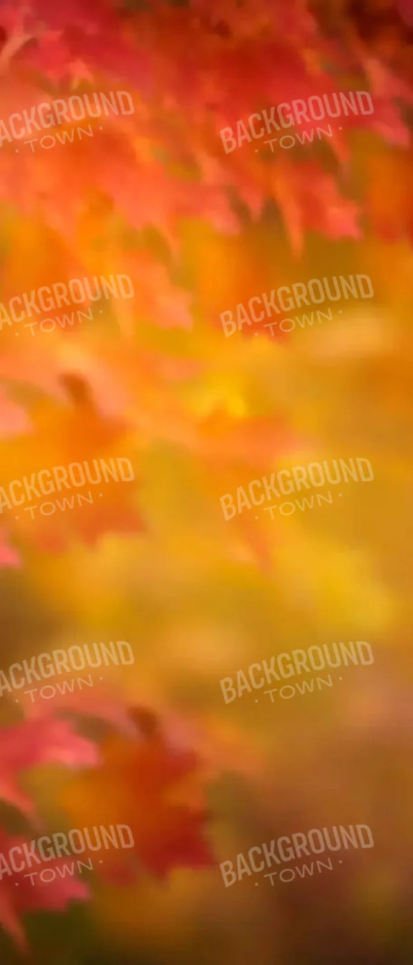 Autumn Dreams 5X12 Ultracloth For Westcott X-Drop ( 60 X 144 Inch ) Backdrop