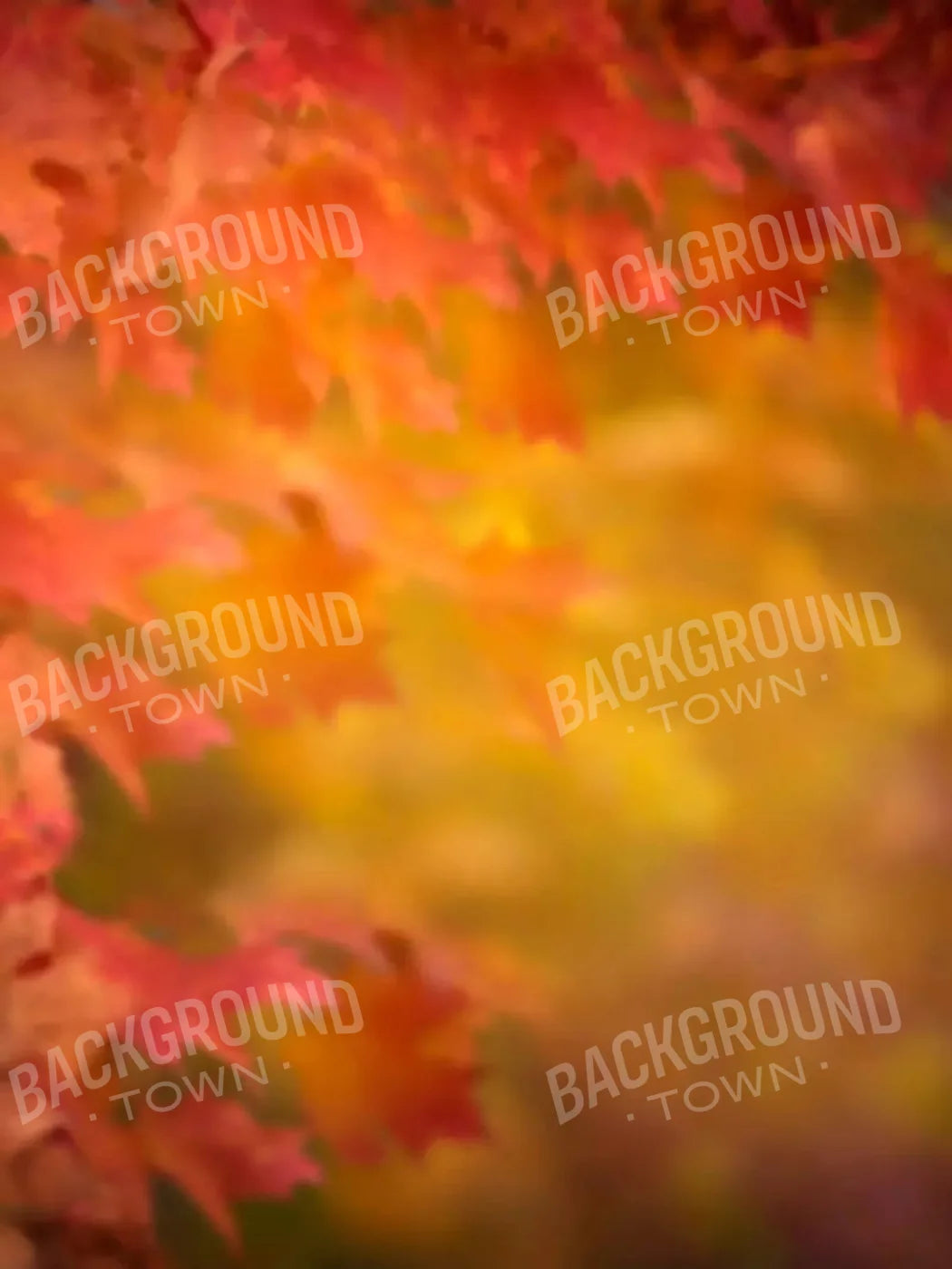 Autumn Dreams 5X7 Ultracloth ( 60 X 84 Inch ) Backdrop