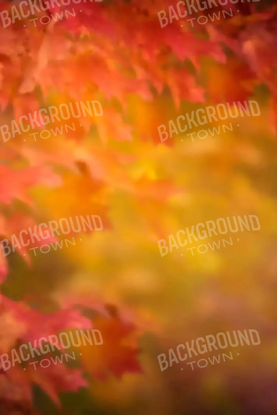 Autumn Dreams 5X8 Ultracloth ( 60 X 96 Inch ) Backdrop