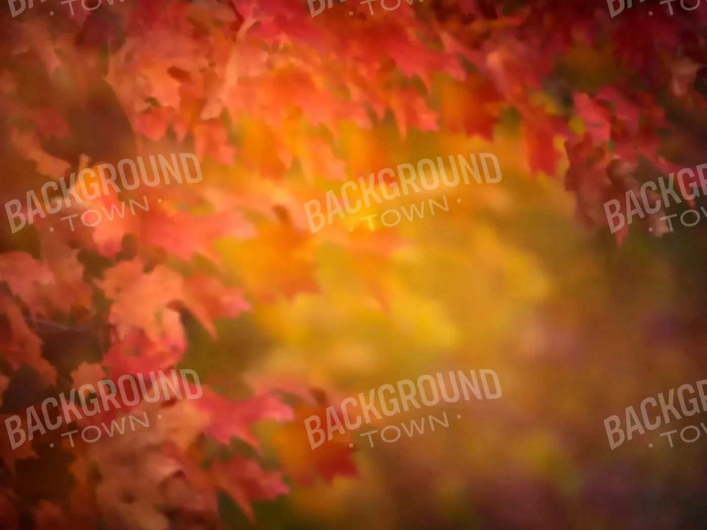 Autumn Dreams 7X5 Ultracloth ( 84 X 60 Inch ) Backdrop