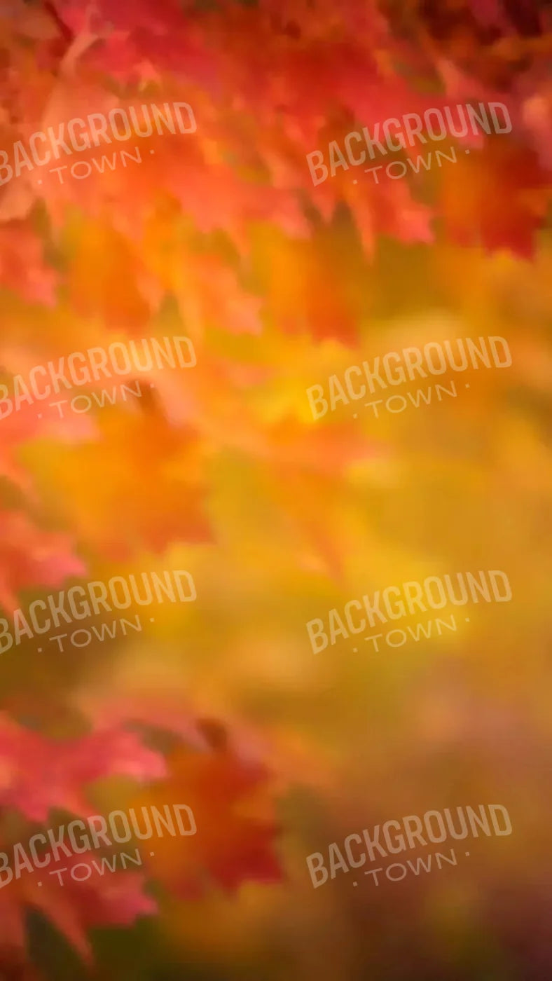 Autumn Dreams 8X14 Ultracloth ( 96 X 168 Inch ) Backdrop