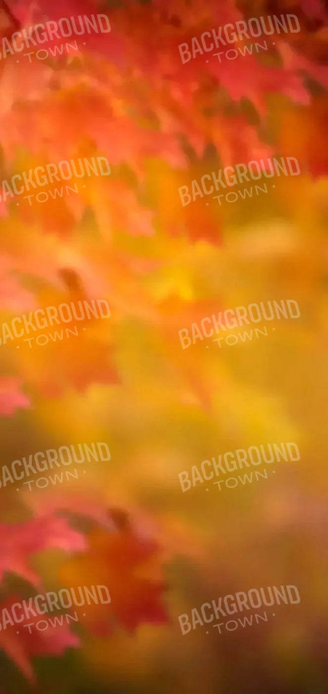 Autumn Dreams 8X16 Ultracloth ( 96 X 192 Inch ) Backdrop