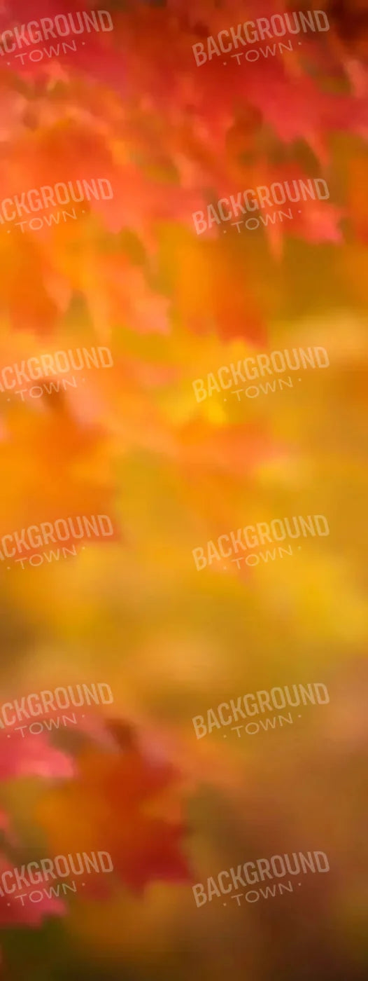 Autumn Dreams 8X20 Ultracloth ( 96 X 240 Inch ) Backdrop