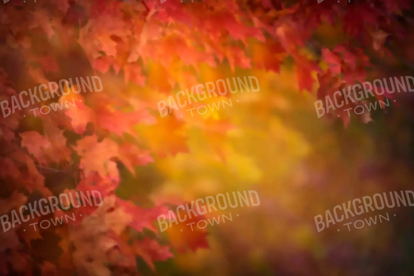 Autumn Dreams 8X5 Ultracloth ( 96 X 60 Inch ) Backdrop
