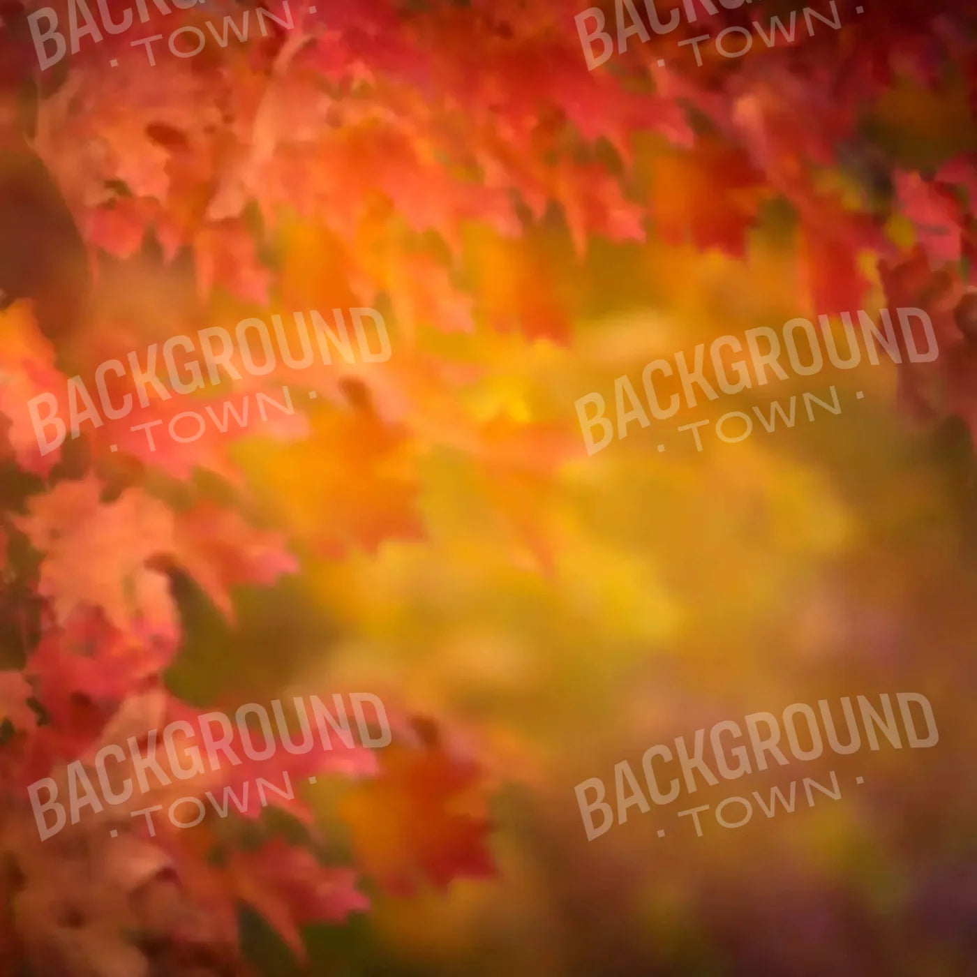 Autumn Dreams 8X8 Fleece ( 96 X Inch ) Backdrop