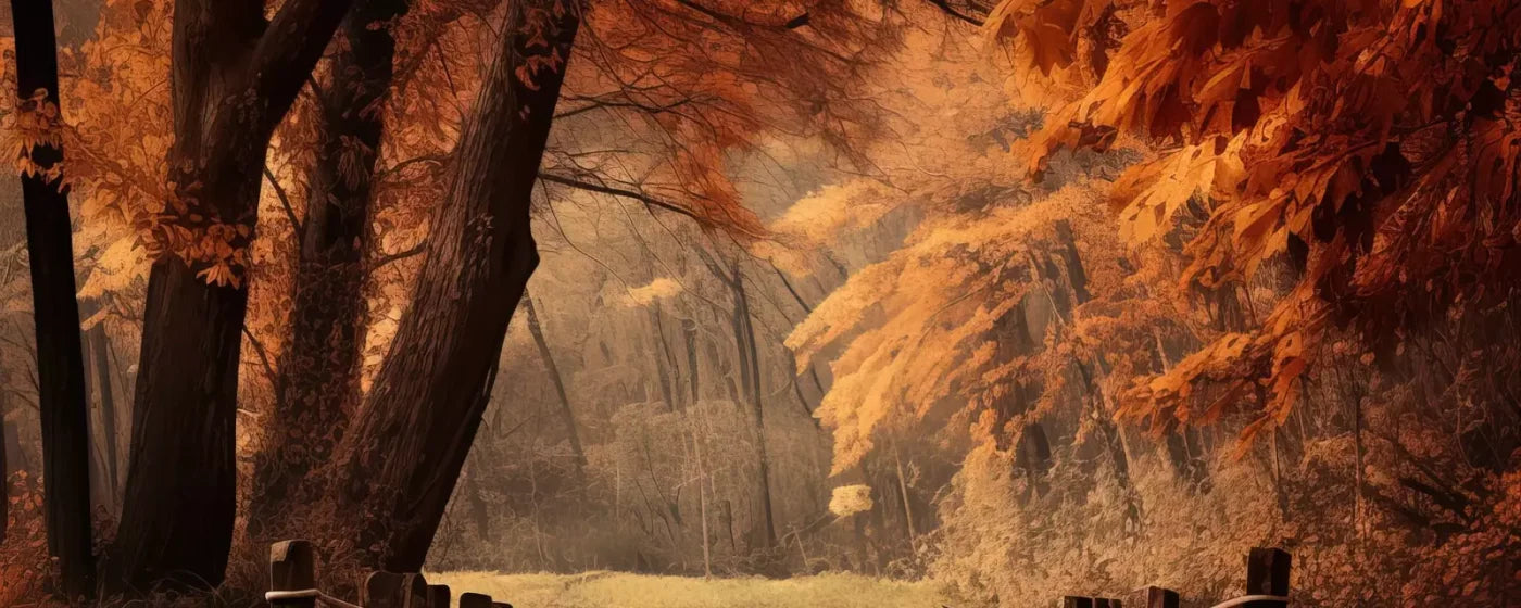 Autumn Lake Path Iii 20’X8’ Ultracloth (240 X 96 Inch) Backdrop