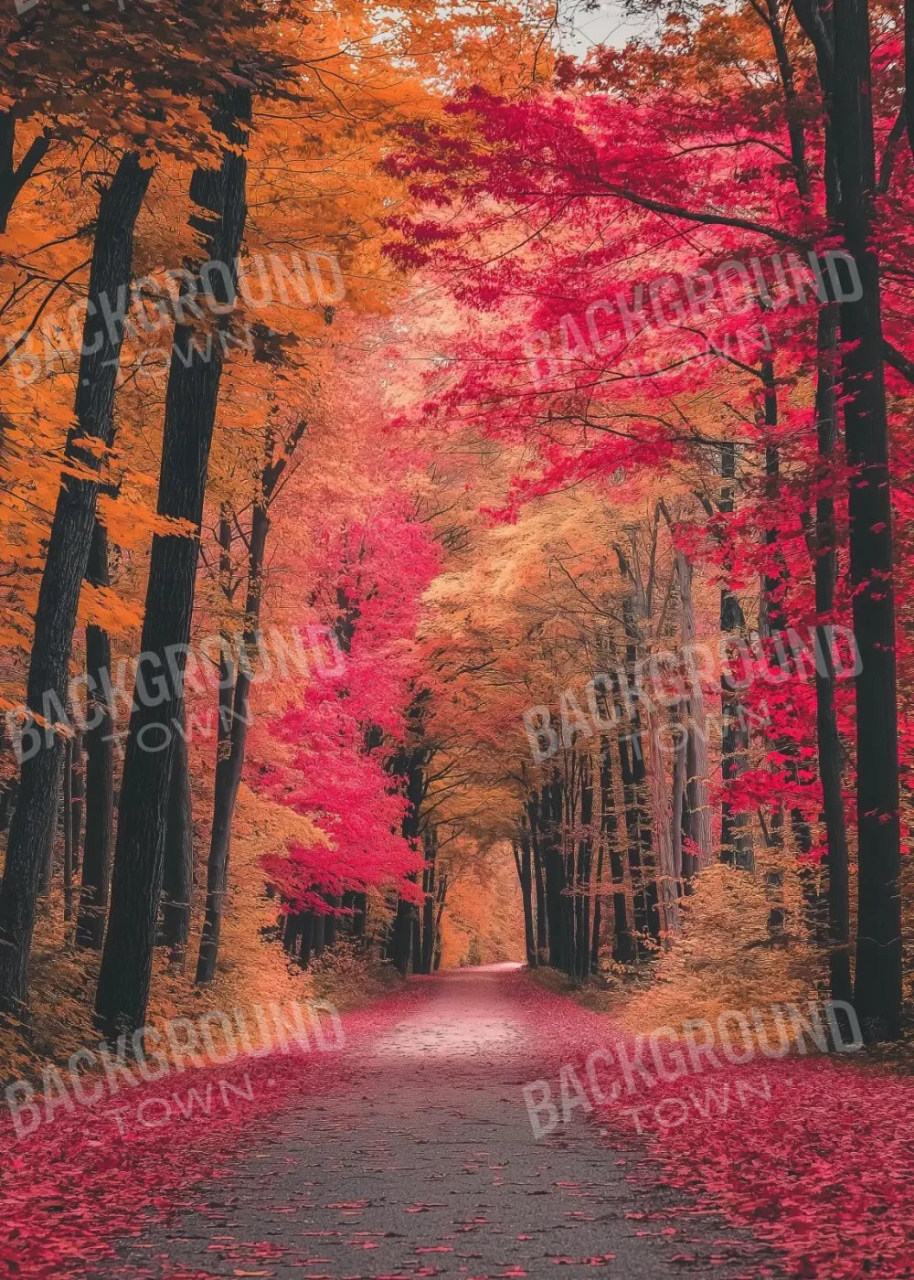 Autumn Passage 2 5’x7’ UltraCloth (60 x 84 inch) Backdrop