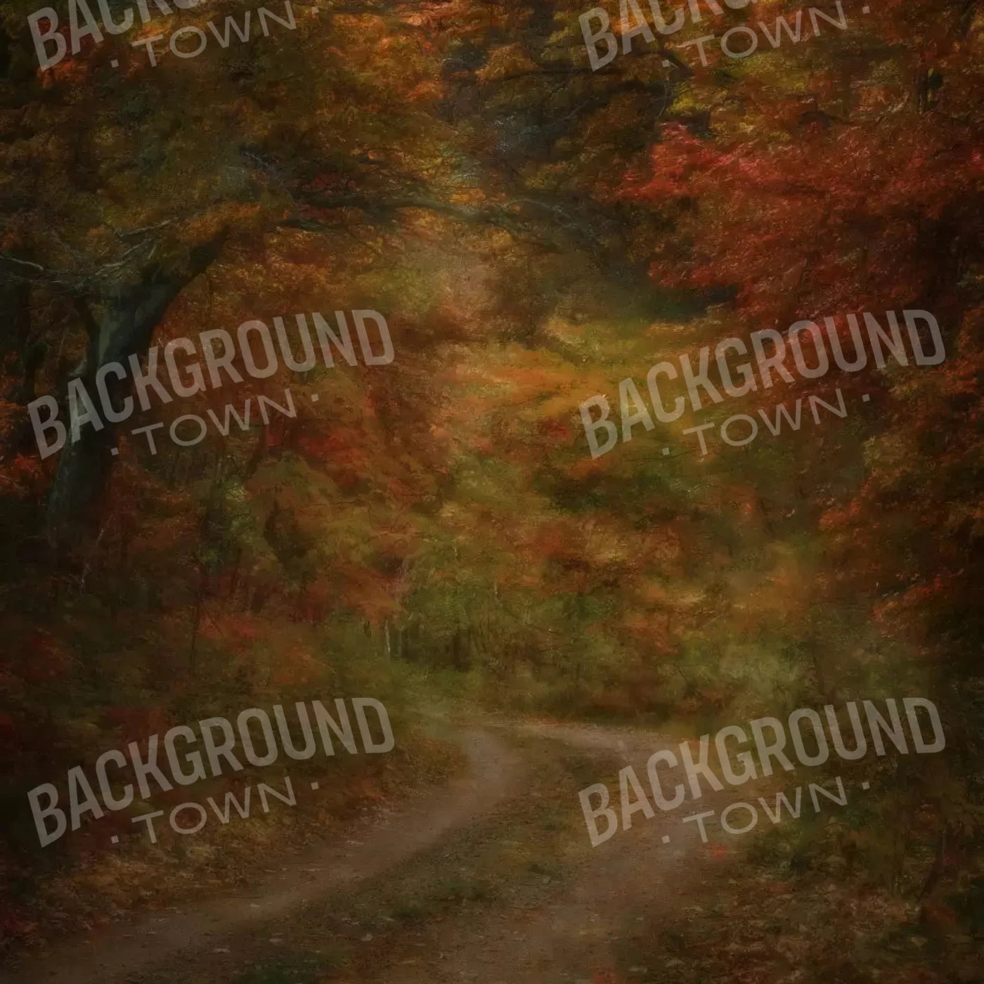 Autumn Road 10X10 Ultracloth ( 120 X Inch ) Backdrop