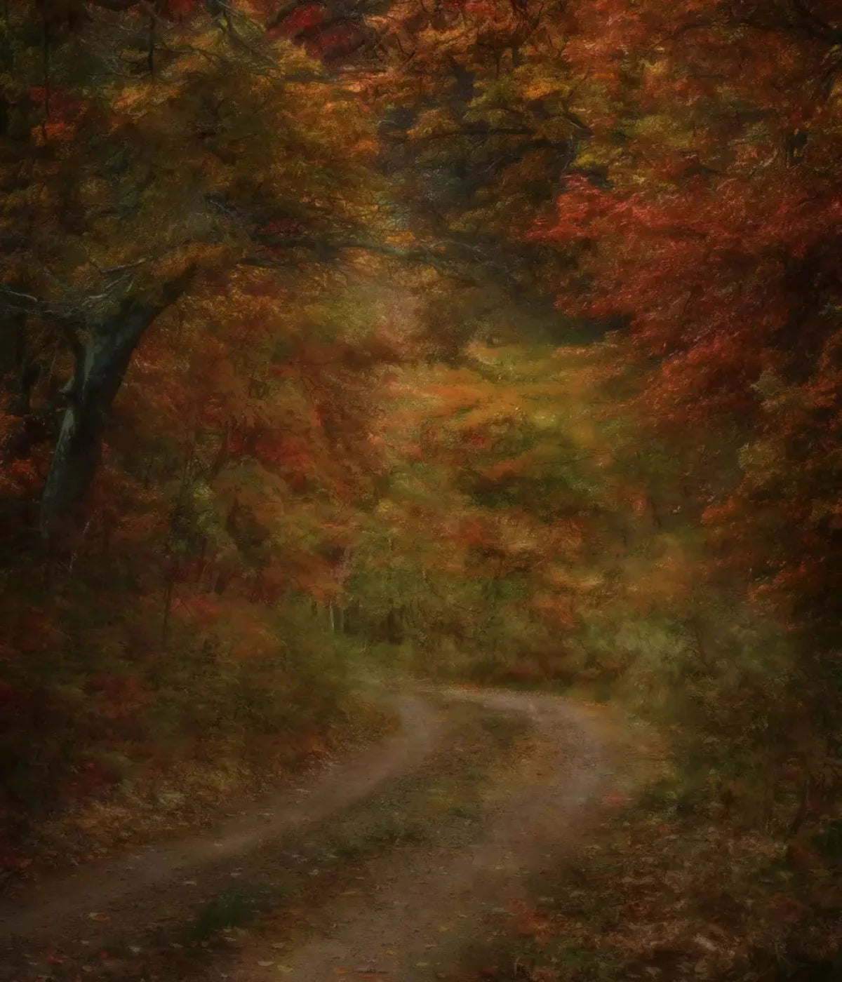 Autumn Road 10X12 Ultracloth ( 120 X 144 Inch ) Backdrop
