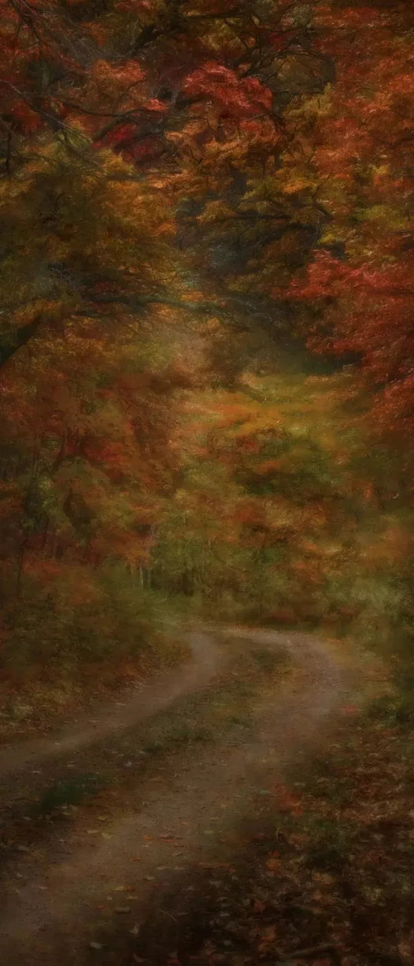 Autumn Road 5X12 Ultracloth For Westcott X-Drop ( 60 X 144 Inch ) Backdrop