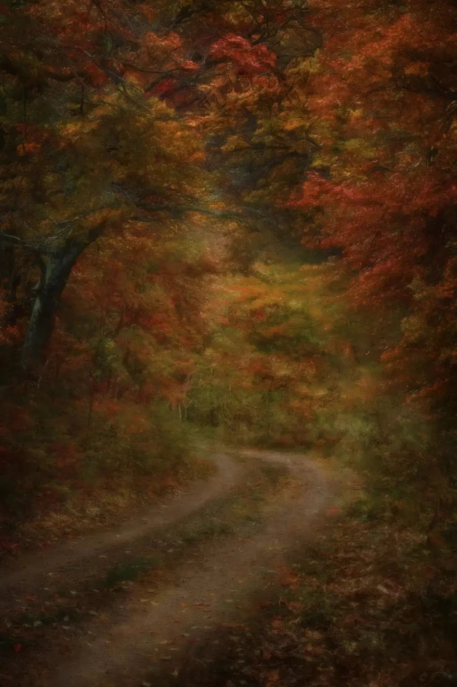Autumn Road 5X8 Ultracloth ( 60 X 96 Inch ) Backdrop