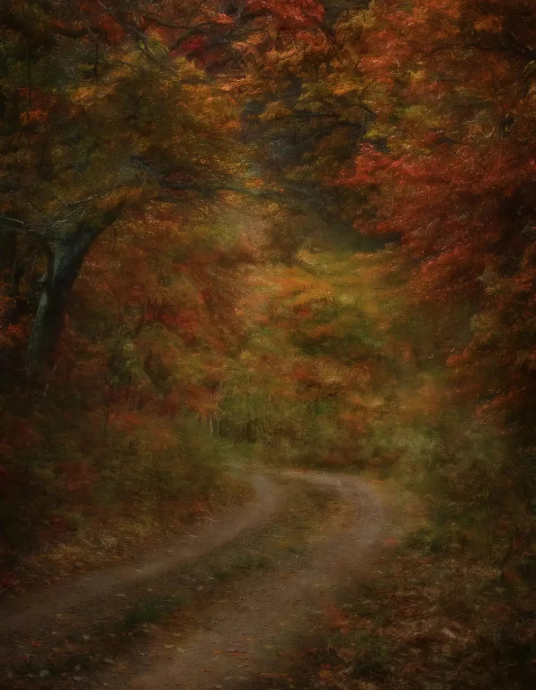 Autumn Road 6X8 Fleece ( 72 X 96 Inch ) Backdrop