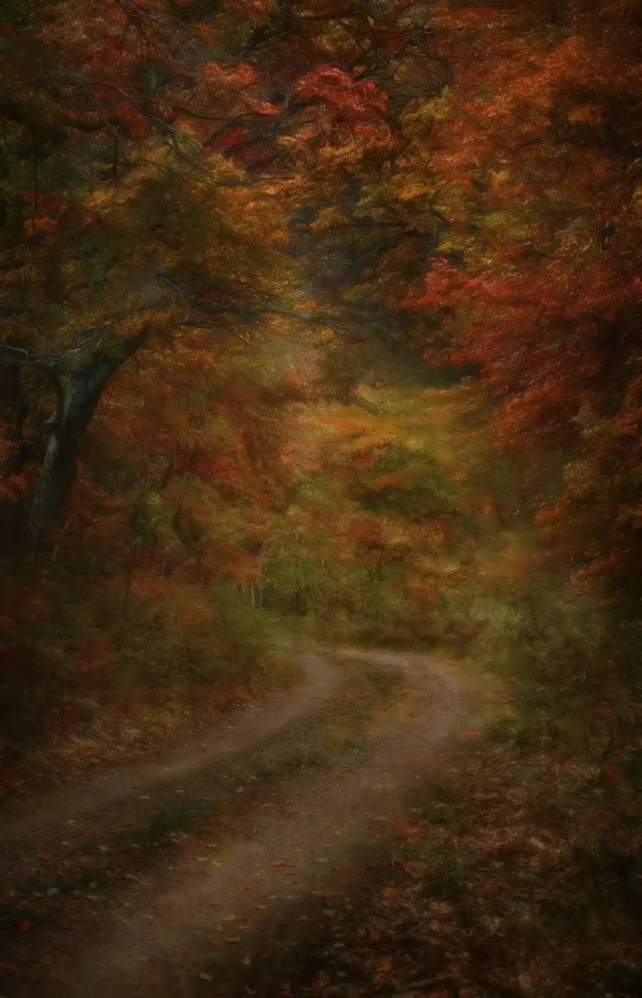 Autumn Road 8X12 Ultracloth ( 96 X 144 Inch ) Backdrop
