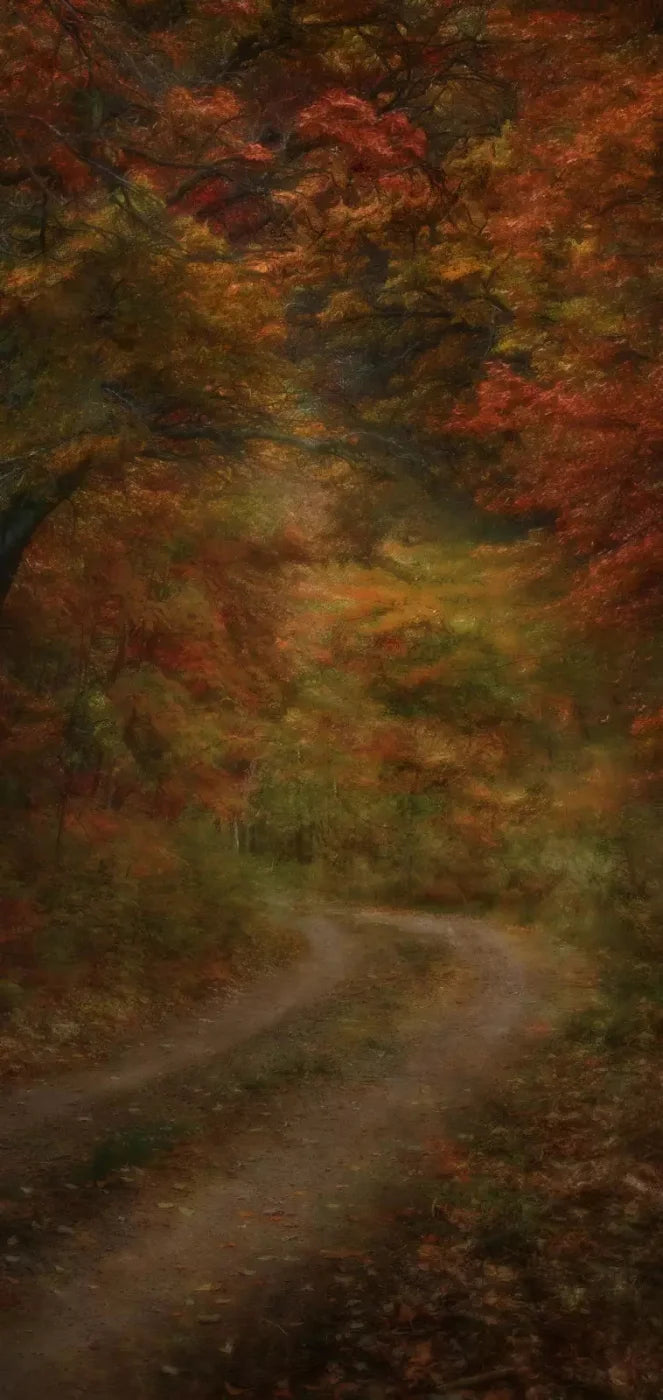 Autumn Road 8X16 Ultracloth ( 96 X 192 Inch ) Backdrop