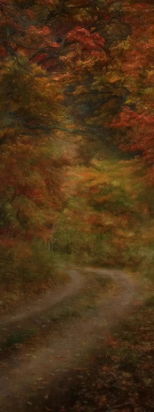Autumn Road 8X20 Ultracloth ( 96 X 240 Inch ) Backdrop