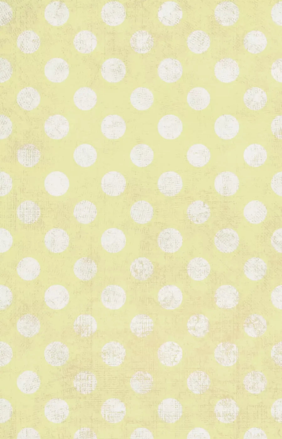Avalon 8X12 Ultracloth ( 96 X 144 Inch ) Backdrop