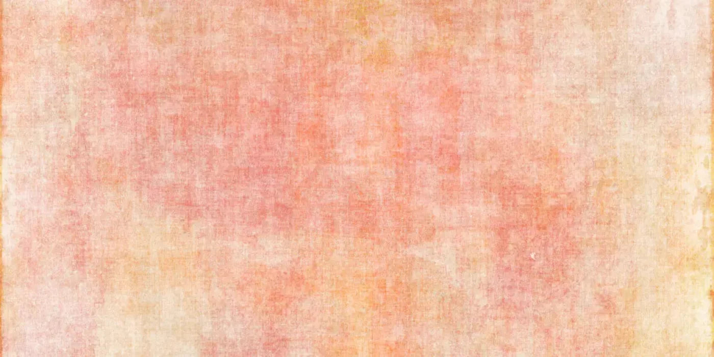 Aviana 20X10 Ultracloth ( 240 X 120 Inch ) Backdrop